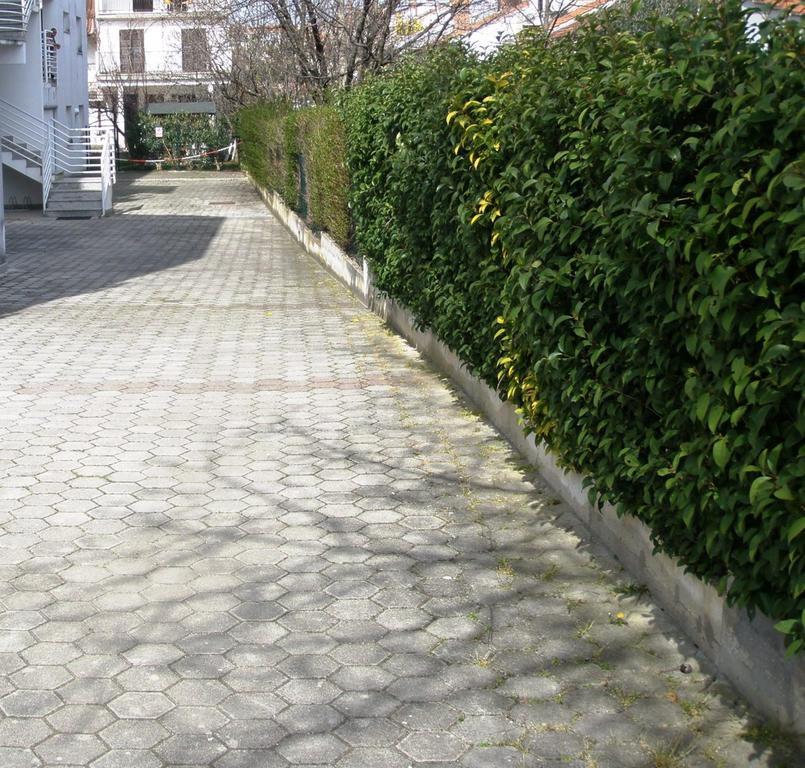 Apartment Venus 13 Rovinj Exterior photo